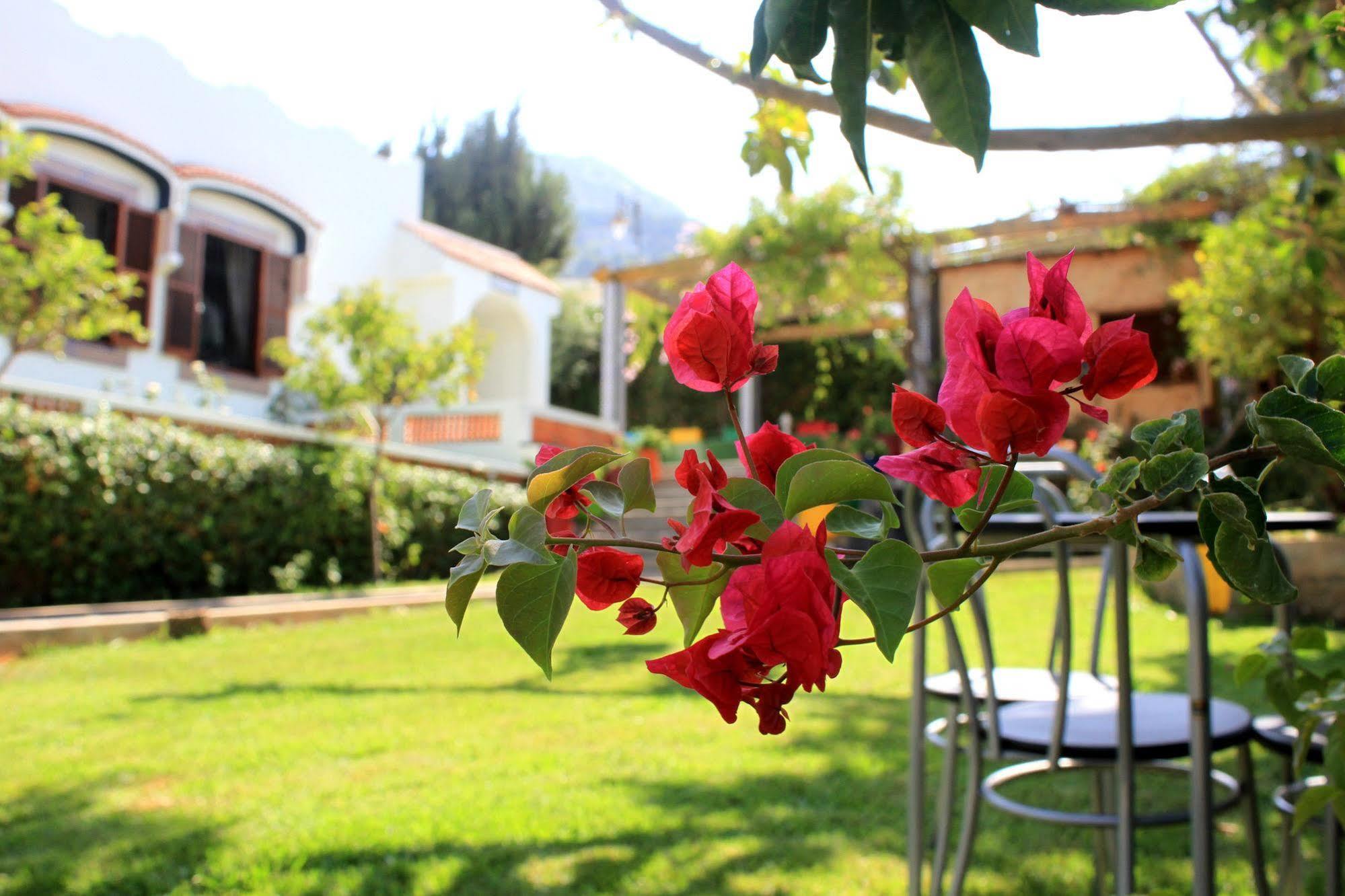 Tétouan Riad Dar Achaach מראה חיצוני תמונה